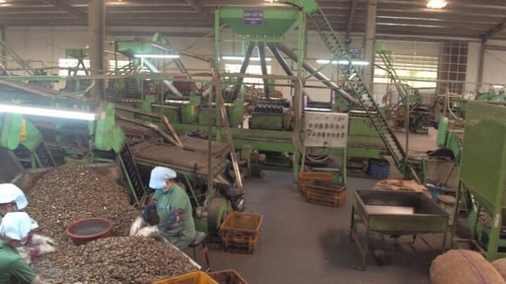 xe nâng cho ngành hạt điều 